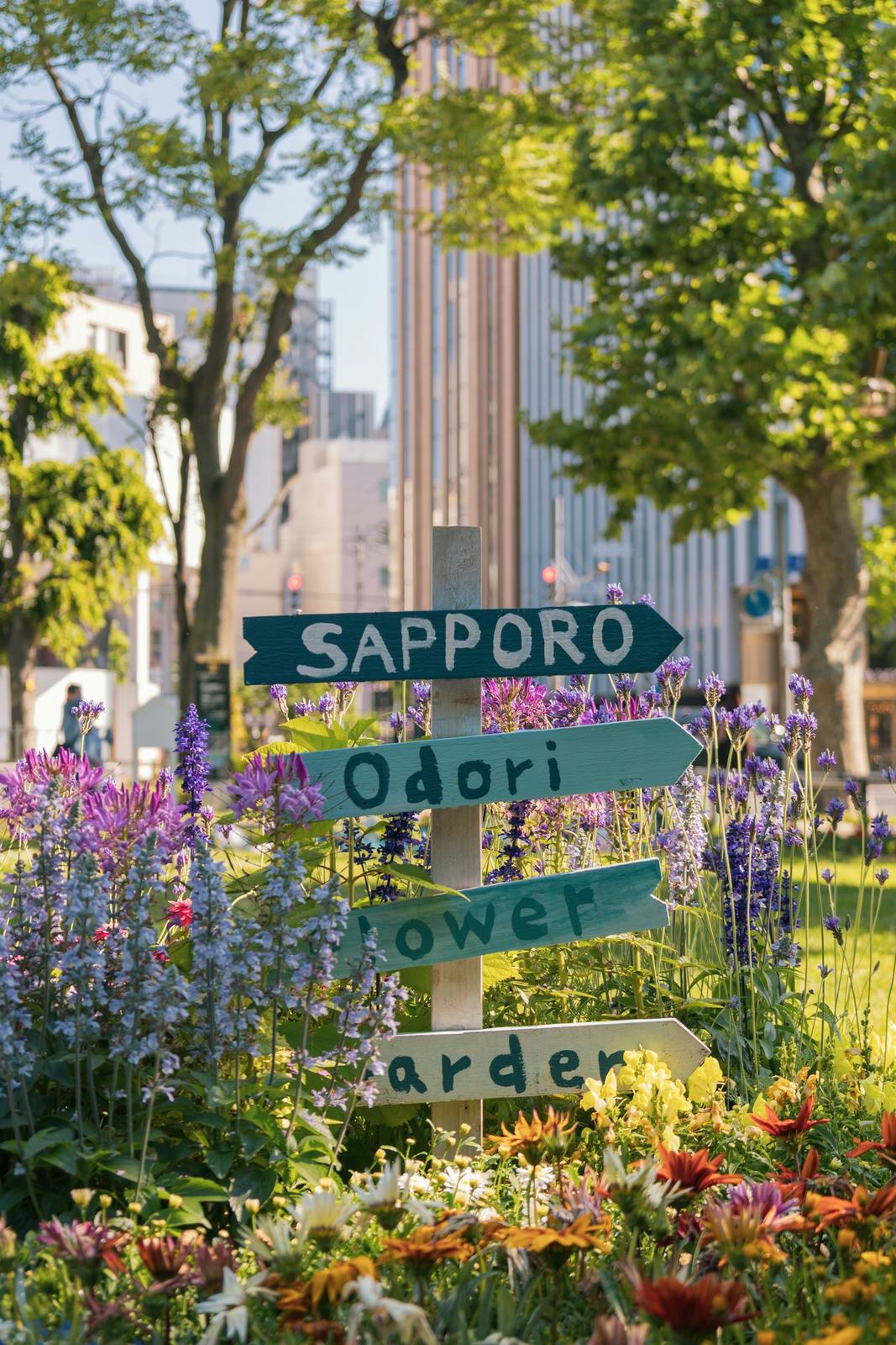 오도리공원 꽃밭 속 SAPPORO·Odori 나무 이정표